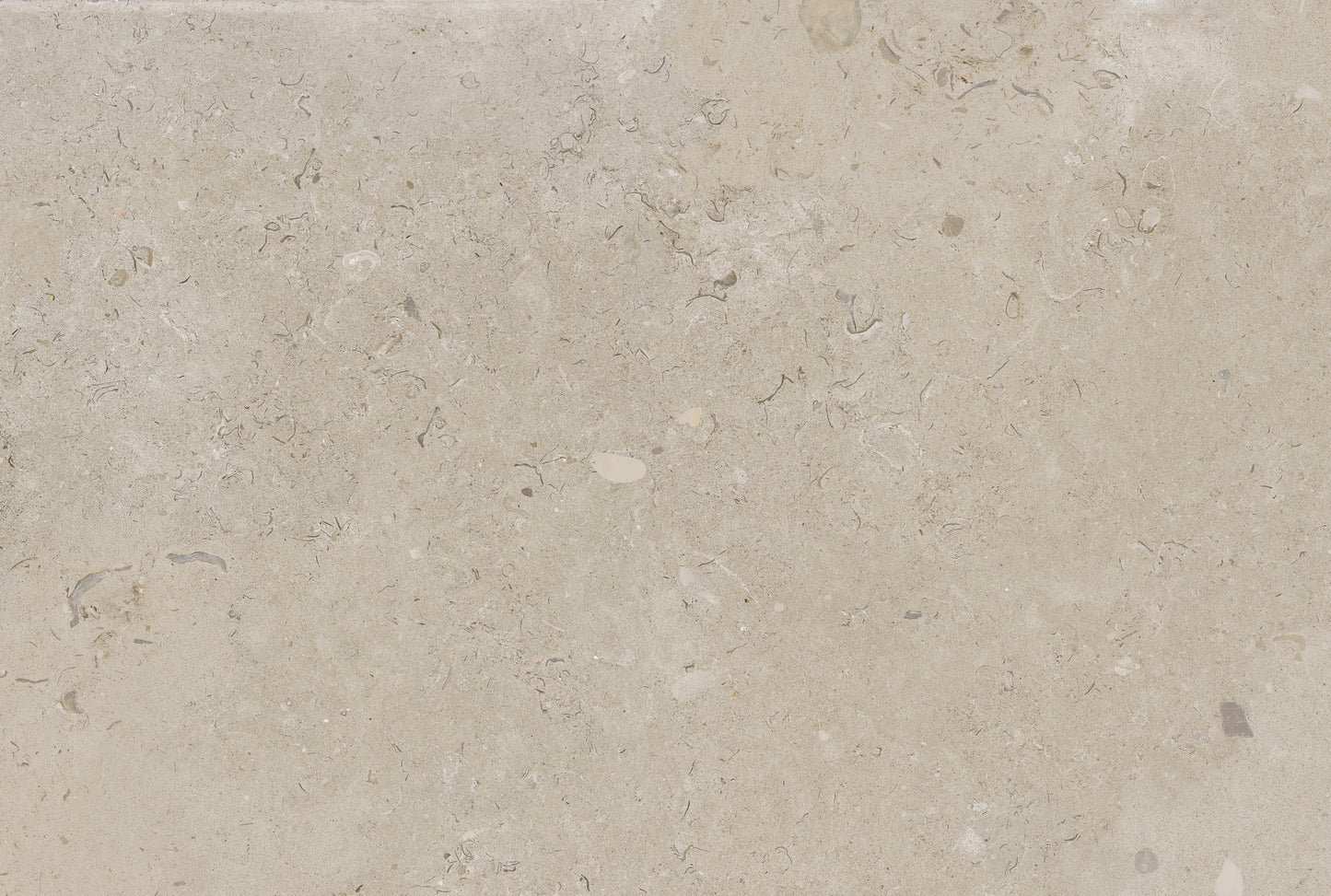 Coralina Beige Betonlook Flise