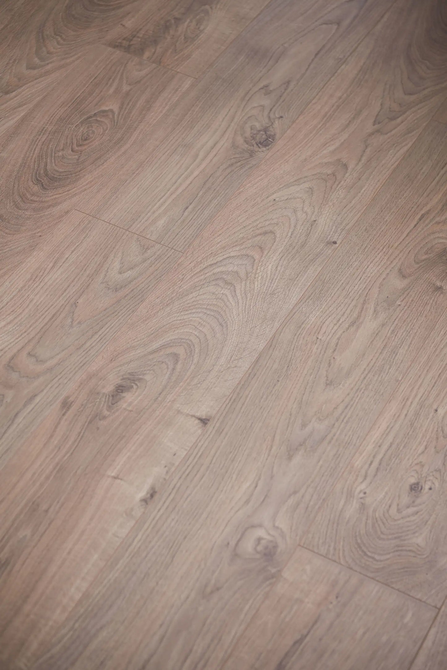 Wallmann Mammut, Eg Rustik 3081 Plank