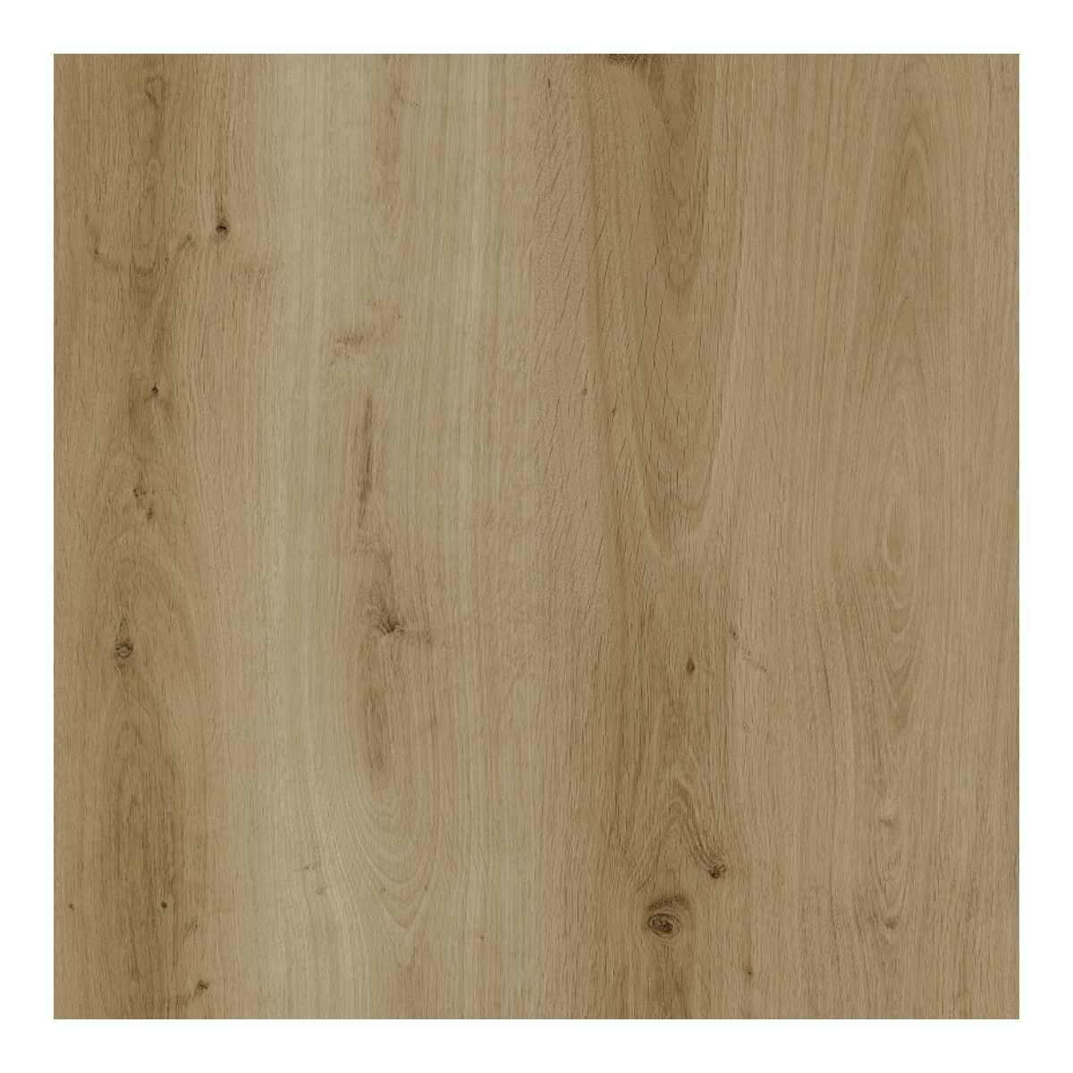LVT Elite 10MM Large Vinyl Klik Med Kork -Plank Lys Natur