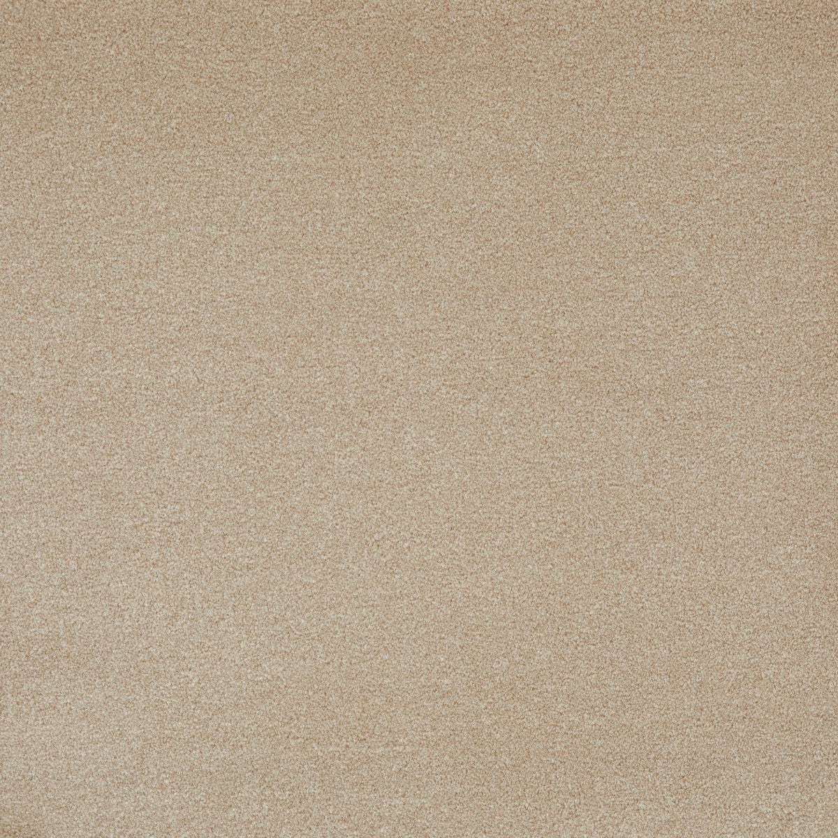 Gulv Tæppe Desire Beige