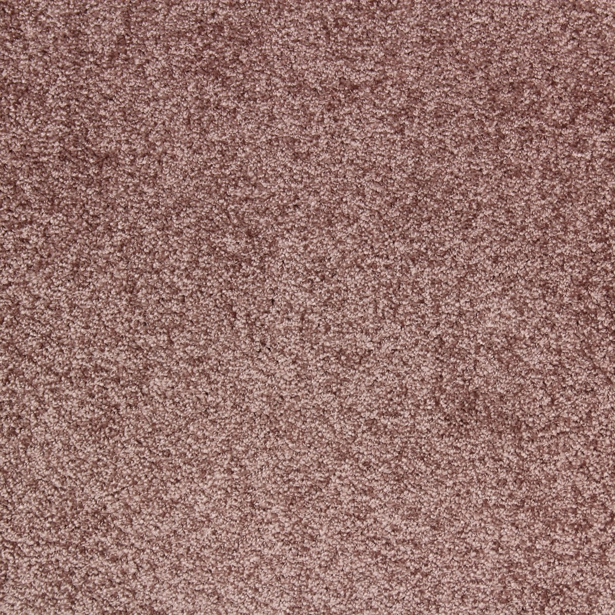 Gulv Tæppe Melbourne Rosa