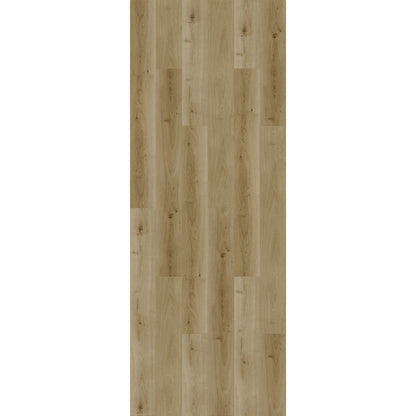 LVT Elite Large Vinyl Klik Med Kork -Plank er Lys Natur 185